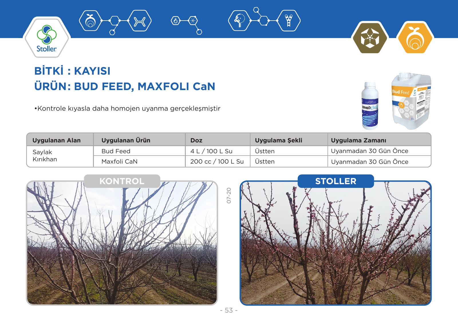 Kayısı (MAGADOR), Bud Feed – Maxfoli CaN