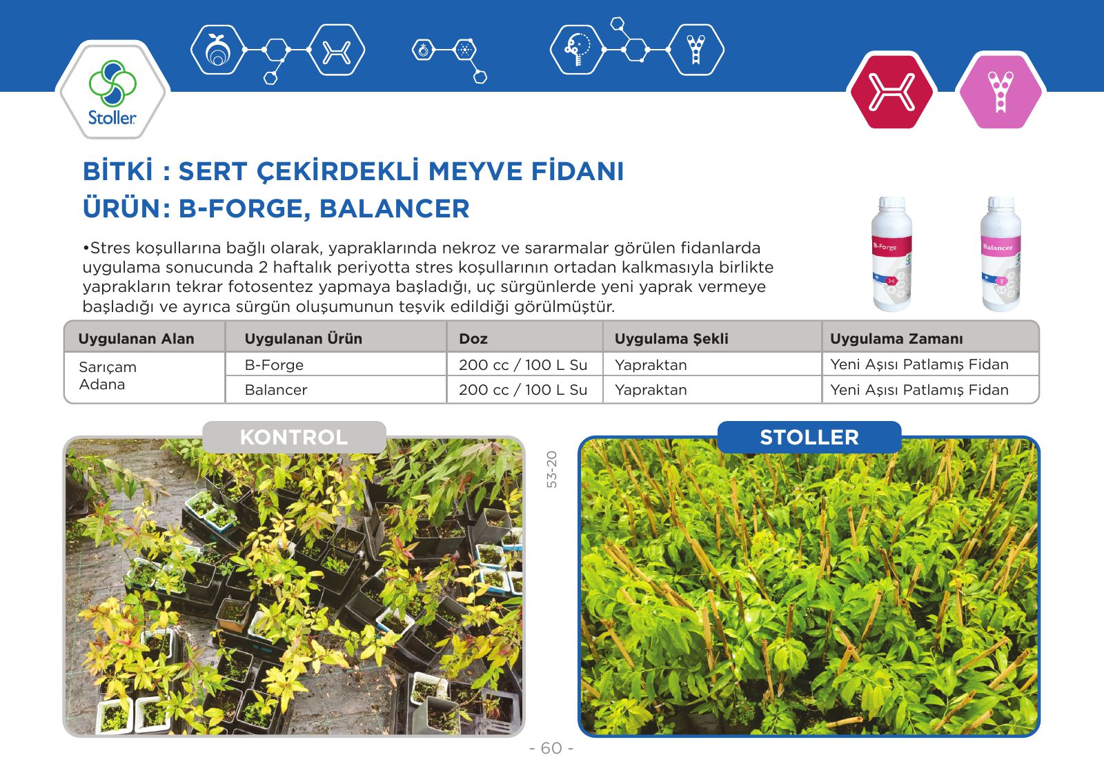 Sert çekirdekli meyve fidanı B-Forge + Balancer